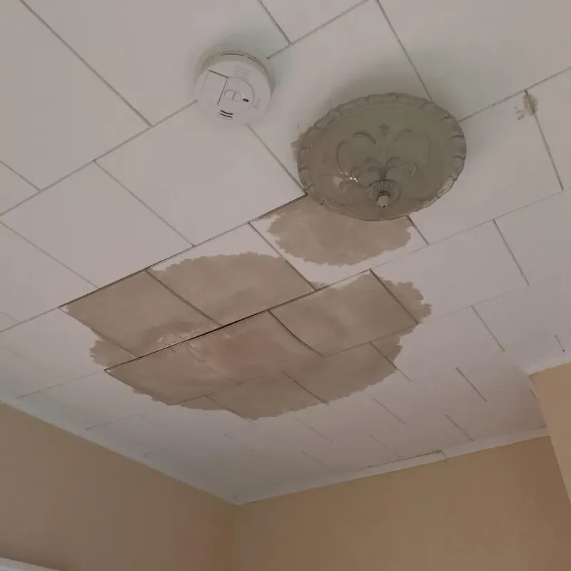 Ceiling Water Damage Repair in Bow Bog, NH